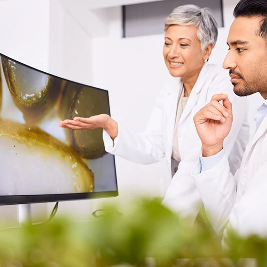 How to Use SugarMute